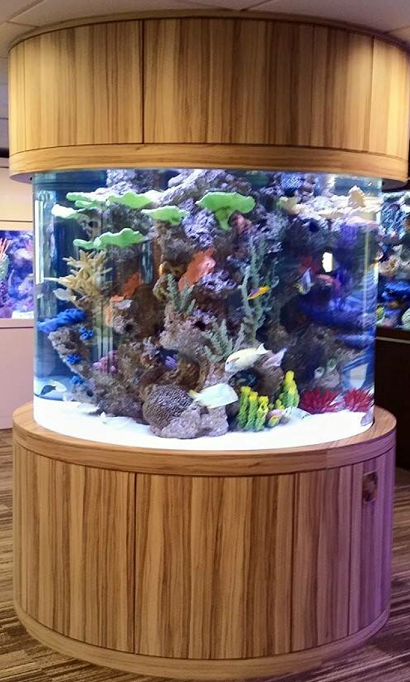 800 gallon fish tank